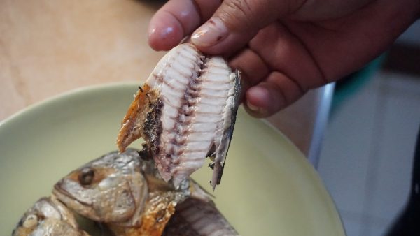 thai mackerel