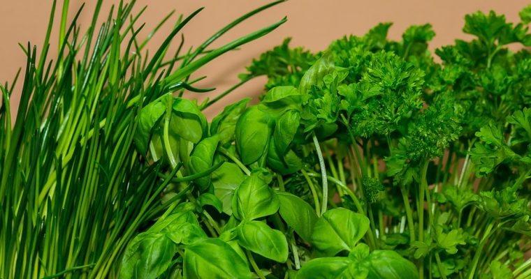 A Guide to Basil in Thai Food