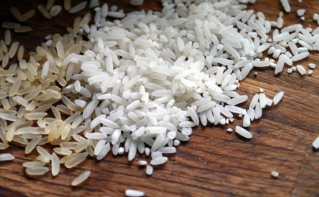 <center>An Honest Zojirushi Rice Cooker Review (Micom Version)</center>