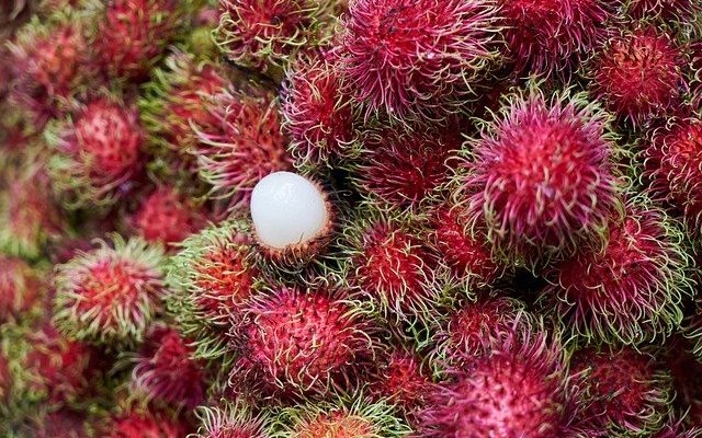 <center> Rambutan vs Lychee: What’s The Difference?</center>