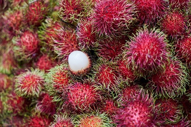 Rambutan vs Lychee: Explaining The Difference Between 2 Exotic Fruits