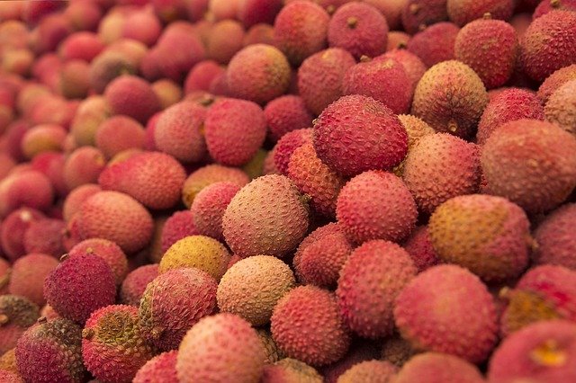what is a lychee